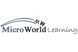 microworld